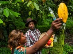 Ceny komodít tento rok na trhoch väčšinou rastú