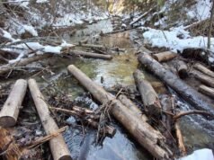 SLOVENSKÝ RAJ: Rokliny v národnom parku sú opäť otvorené