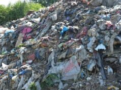 Stovky ton odpadkov a potkanov pobehujúcich pod nohami. Obce prehrávajú boj s nelegálnymi skládkami