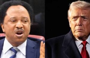 „Opustite USA hneď, alebo riskujte zatknutie“ – Shehu Sani varuje Nigérijčanov uprostred zrušenia víz