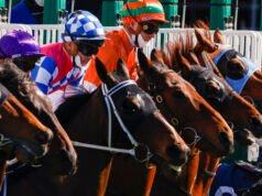 Ukážka jednotlivých pretekov a tipy pre Sapphire Coast v pondelok