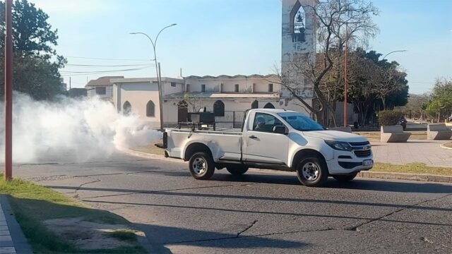 fumigaciones-530284-001137.jpg