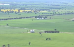 Údaje odhaľujú 10 horúcich LGA pre plodiny, zatiaľ čo sa objavuje skupina zlých výsledkov