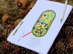 Košice: Súťaž Voda nad zlato pozná víťazov, na školách pribudnú dažďové záhrady