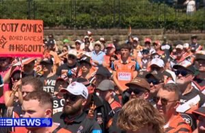 Fanúšikovia tigrov protestujú proti väčšinovým vlastníkom