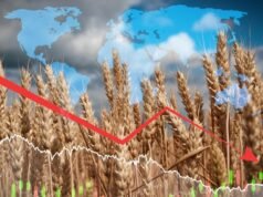 Svetové ceny potravín klesajú už štvrť roka