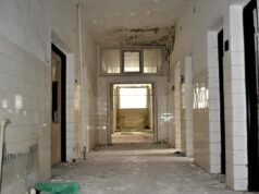 Dobrá kúpa, povedal Trnka po kúpe kúpeľov. Budovy sú na spadnutie, hľadá cestu k pozemku