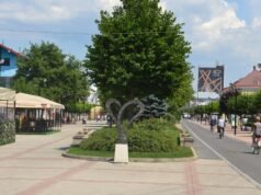 V Humennom Nežnú pripomína pamätná tabuľa. V Michalovciach nič nemajú, peniaze na pomník neschválili