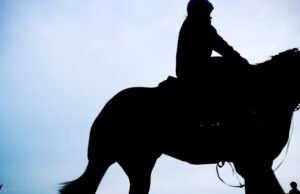 Preteky v Hawkesbury, nedeľné preteky, tipy na preteky a ukážky na nedeľné stretnutie v Hawkesbury