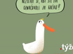 Naivné umenie Rosie: Nevolaj ma kačica! | Meme/hoax | .týždeň