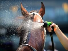 Tréner, ktorý túži stavať na prelomovom víťazstve